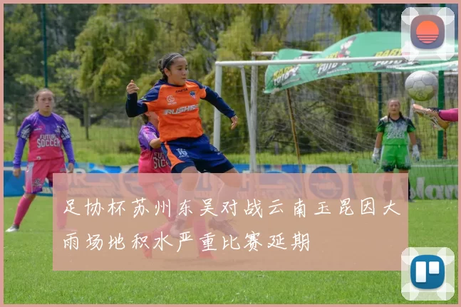 足协杯苏州东吴对战云南玉昆因大雨场地积水严重比赛延期